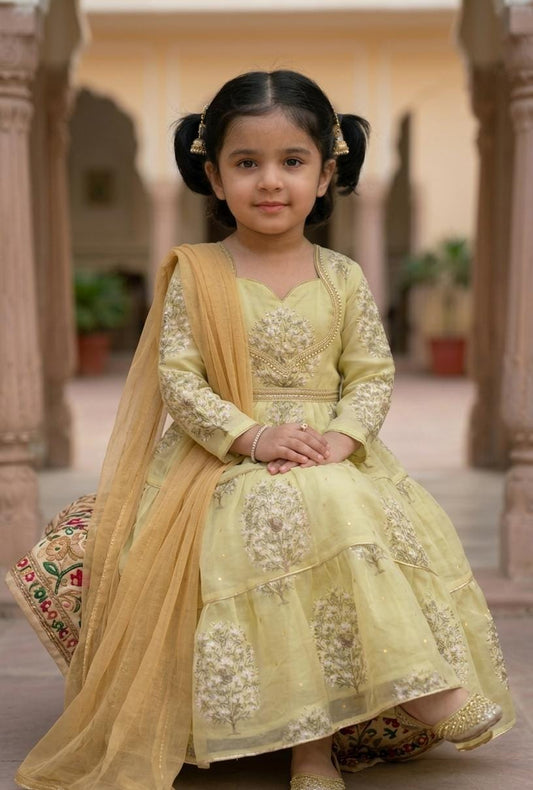 Elegant Pistachio Green Embroidered Anarkali Dress with Dupatta for Girls